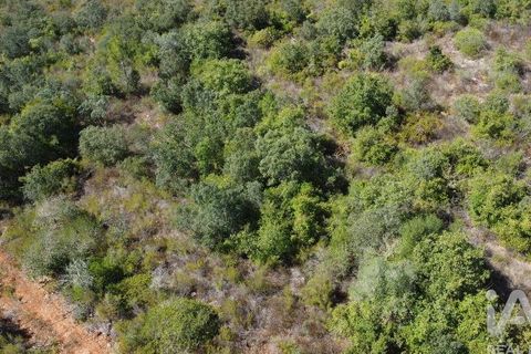 Terra a Ourem, Santarem, Ourem - € 11.500 | Ref: 149541 - foto 15