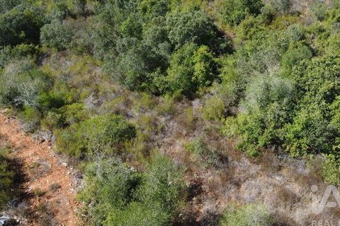 Terra a Ourem, Santarem, Ourem - € 11.500 | Ref: 149541 - foto 16