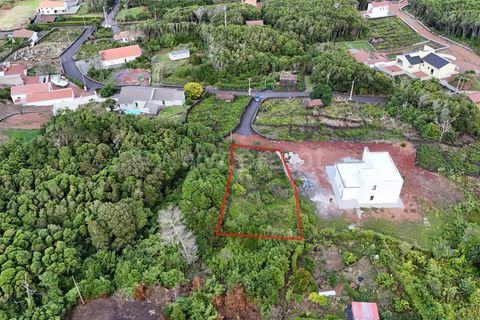 Helårsgrund i Sao Roque do Pico, Pico, Sao Roque do Pico - € 46.000 | Ref: 374250199 - foto 3