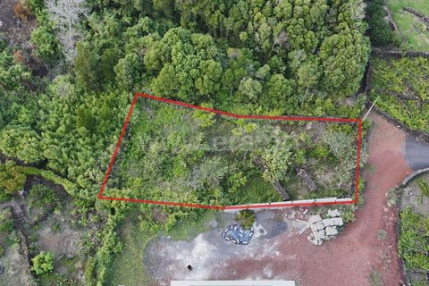 Helårsgrund i Sao Roque do Pico, Pico, Sao Roque do Pico - € 46.000 | Ref: 374250199 - foto 4