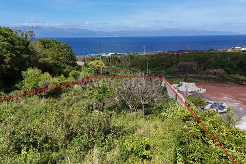 Helårsgrund i Sao Roque do Pico, Pico, Sao Roque do Pico - € 46.000 | Ref: 374250199 - foto 5