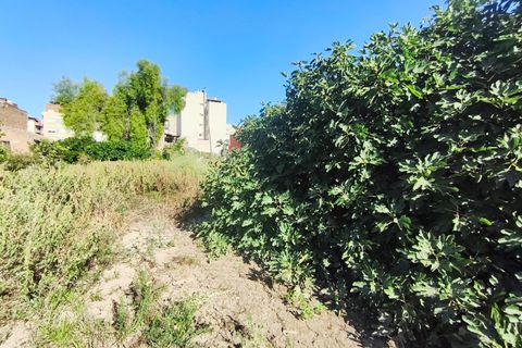 Villa i Murcia, Murcia, Murcia - € 149.500 | Ref: EXP11400/8930 - foto 5