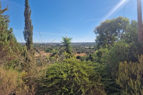 Villa a Moncarapacho, Faro, Moncarapacho - € 565.000 | Ref: MV599 - foto 33