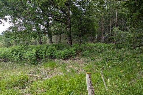 Villa i Cercoux, Charente-Maritime, Cercoux - € 299.500 | Ref: 408236WIC - foto 16