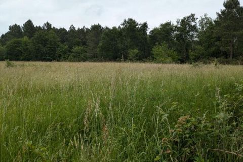 Villa i Cercoux, Charente-Maritime, Cercoux - € 299.500 | Ref: 408236WIC - foto 18