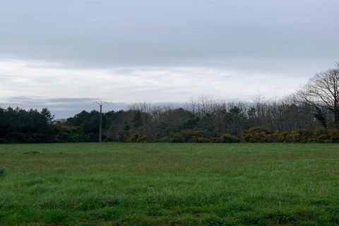 Villa i Rieux, Morbihan, Rieux - € 384.800 | Ref: 400021GMAG - foto 8