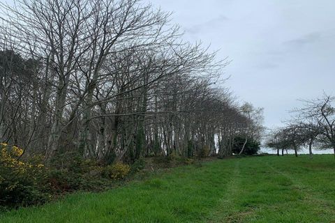 Villa i Rieux, Morbihan, Rieux - € 384.800 | Ref: 400021GMAG - foto 11