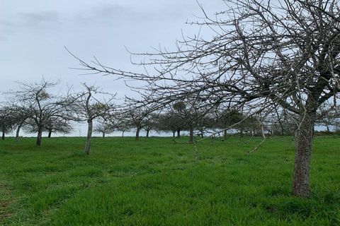 Villa i Rieux, Morbihan, Rieux - € 384.800 | Ref: 400021GMAG - foto 13