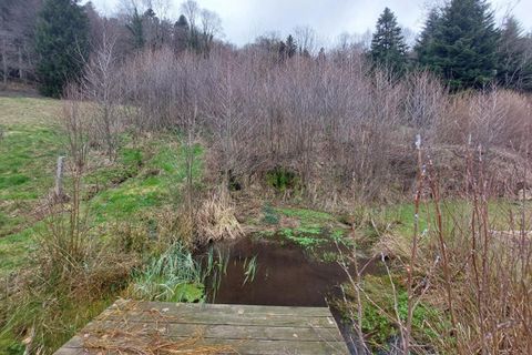 Villa i Lepuix, Territoire de Belfort, Lepuix - € 199.500 | Ref: 399524LYH - foto 13