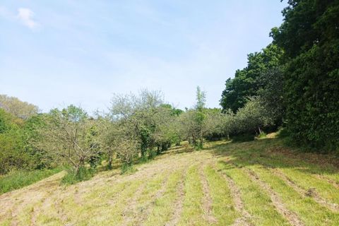 Farm hus i Morlaix, Finistere, Morlaix - € 262.000 | Ref: 398581BCP - foto 3
