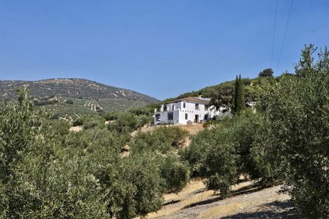 Landejendom i Montefrio, Granada, Montefrio - € 475.000 | Ref: Majada Vieja - foto 48