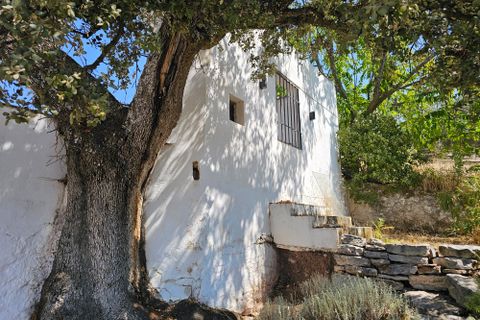 Landejendom i Montefrio, Granada, Montefrio - € 475.000 | Ref: Majada Vieja - foto 4
