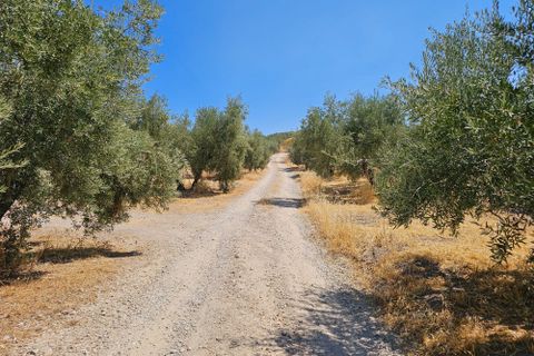 Landejendom i Montefrio, Granada, Montefrio - € 475.000 | Ref: Majada Vieja - foto 49
