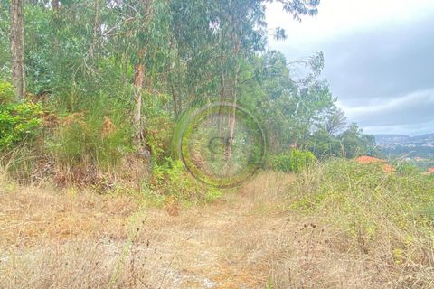 Villa i Barcelos, Braga, Barcelos - € 175.000 | Ref: GS1/270426-01 - foto 7