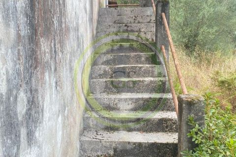 Villa i Barcelos, Braga, Barcelos - € 175.000 | Ref: GS1/270426-01 - foto 12