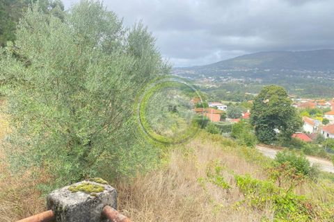 Villa i Barcelos, Braga, Barcelos - € 175.000 | Ref: GS1/270426-01 - foto 19