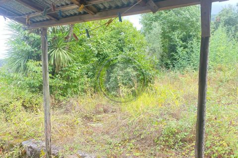 Villa i Barcelos, Braga, Barcelos - € 175.000 | Ref: GS1/270426-01 - foto 20