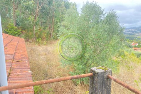 Villa i Barcelos, Braga, Barcelos - € 175.000 | Ref: GS1/270426-01 - foto 21