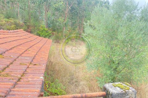 Villa i Barcelos, Braga, Barcelos - € 175.000 | Ref: GS1/270426-01 - foto 24