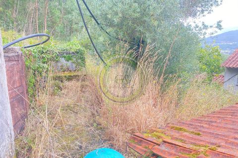 Villa i Barcelos, Braga, Barcelos - € 175.000 | Ref: GS1/270426-01 - foto 31