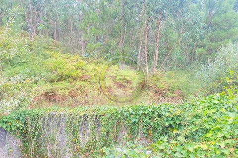 Villa i Barcelos, Braga, Barcelos - € 175.000 | Ref: GS1/270426-01 - foto 36