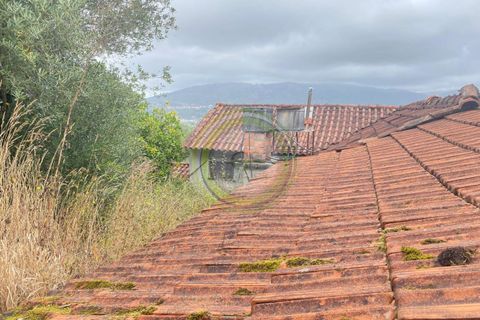 Villa i Barcelos, Braga, Barcelos - € 175.000 | Ref: GS1/270426-01 - foto 40