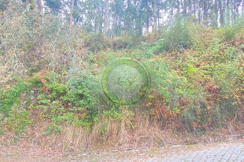 Villa i Barcelos, Braga, Barcelos - € 175.000 | Ref: GS1/270426-01 - foto 42