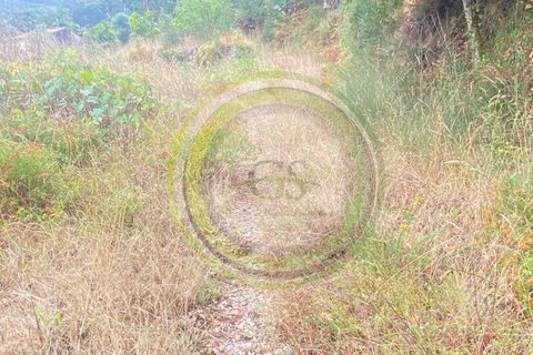 Villa i Barcelos, Braga, Barcelos - € 175.000 | Ref: GS1/270426-01 - foto 43