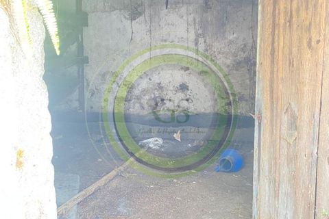Villa i Barcelos, Braga, Barcelos - € 175.000 | Ref: GS1/270426-01 - foto 44