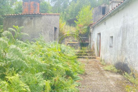 Villa i Barcelos, Braga, Barcelos - € 175.000 | Ref: GS1/270426-01 - foto 48