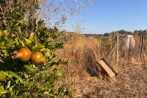 Farm hus i Ourique, Beja, Ourique - € 90.000 | Ref: ABI-00 - foto 11