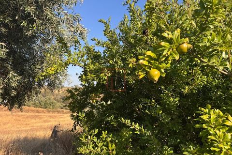 Farm hus i Ourique, Beja, Ourique - € 90.000 | Ref: ABI-00 - foto 12