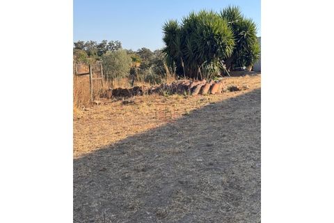 Farm hus i Ourique, Beja, Ourique - € 90.000 | Ref: ABI-00 - foto 13