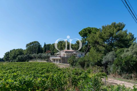Villa i Cassis, Bouches-du-Rhone, Cassis - € 2.940.000 | Ref: VM - 876 - foto 6
