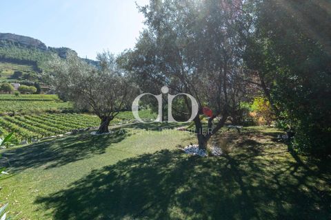 Villa i Cassis, Bouches-du-Rhone, Cassis - € 2.940.000 | Ref: VM - 876 - foto 12