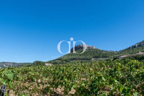 Villa i Cassis, Bouches-du-Rhone, Cassis - € 2.940.000 | Ref: VM - 876 - foto 33