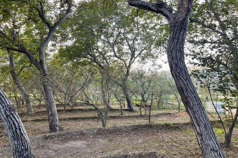 Terra a Avella, Avellino, Avella - € 28.000 | Ref: 459490 - foto 2