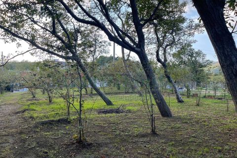 Terra a Avella, Avellino, Avella - € 28.000 | Ref: 459490 - foto 3
