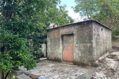 Terra a Avella, Avellino, Avella - € 28.000 | Ref: 459490 - foto 8