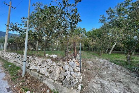 Terra a Avella, Avellino, Avella - € 28.000 | Ref: 459490 - foto 10