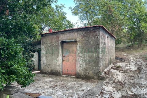 Terra a Avella, Avellino, Avella - € 28.000 | Ref: 459490 - foto 11