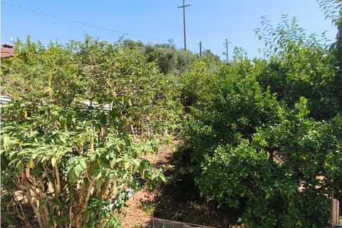 Leilighet i Omignano, Salerno, Omignano - € 55 000 | Ref: 1845339 - foto 20