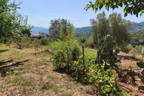 Leilighet i Omignano, Salerno, Omignano - € 55 000 | Ref: 1845339 - foto 21