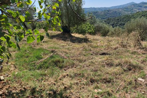 Leilighet i Omignano, Salerno, Omignano - € 55 000 | Ref: 1845339 - foto 22