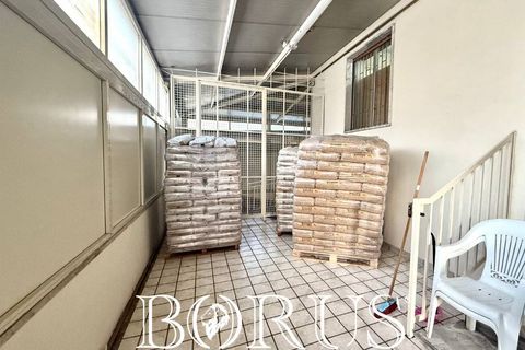 L'establiment comercial a Cesa, Caserta, Cesa - € 900/mes | Ref: FD1 - foto 6