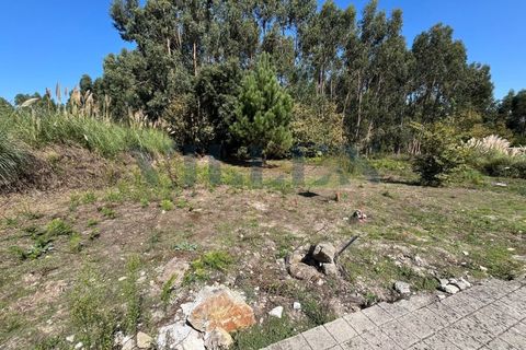 Helårsgrund i Trofa, Porto, Trofa - € 70.000 | Ref: VR-70-344 - foto 10