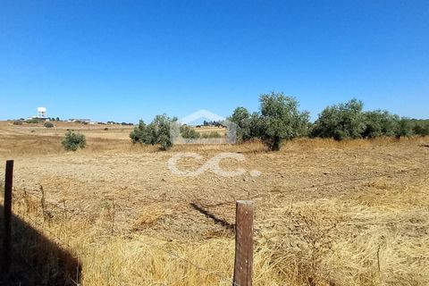 Helårsgrund i Beringel, Beja, Beringel - € 80.000 | Ref: 333/T/01421 - foto 1