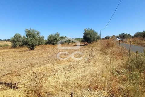 Helårsgrund i Beringel, Beja, Beringel - € 80.000 | Ref: 333/T/01421 - foto 2