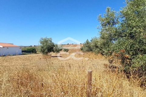 Helårsgrund i Beringel, Beja, Beringel - € 80.000 | Ref: 333/T/01421 - foto 3