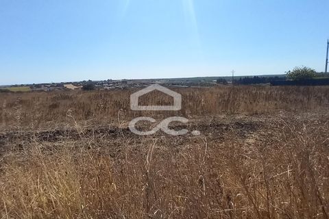 Helårsgrund i Beringel, Beja, Beringel - € 80.000 | Ref: 333/T/01421 - foto 6